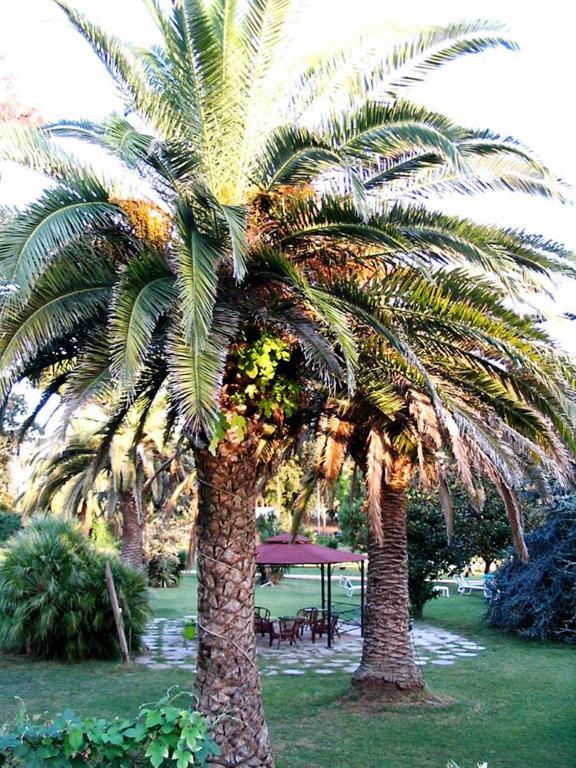 Hotel Parco Dei Principi Anzio Szoba fotó